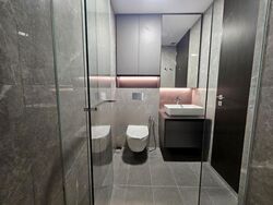 Irwell Hill Residences (D9), Apartment #575835881